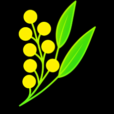 Wattle Logo